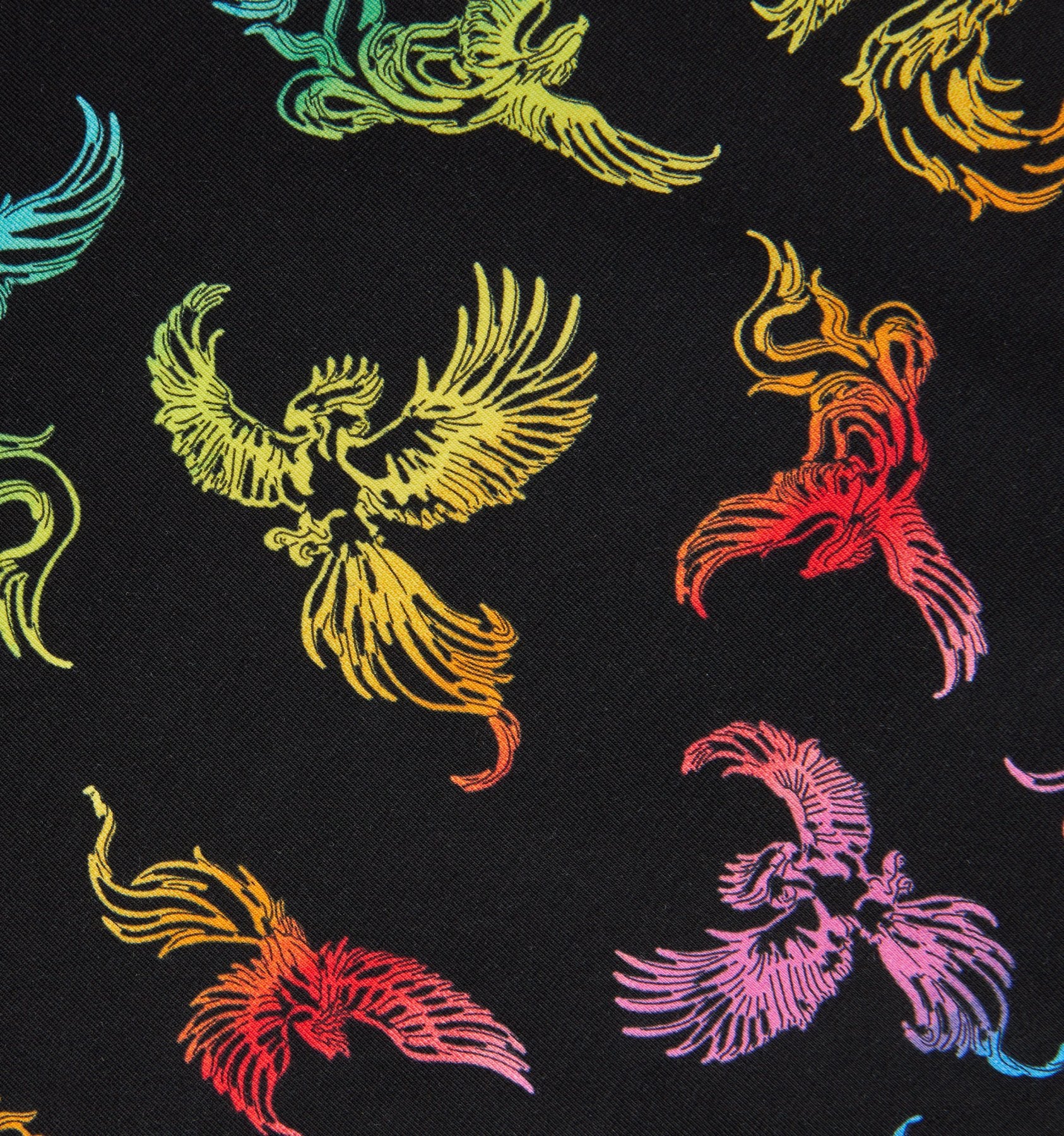 1550-9-boxer-briefs-rainbow-phoenix-1.webp